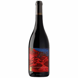 Dominique Andiran - Magnus 2019