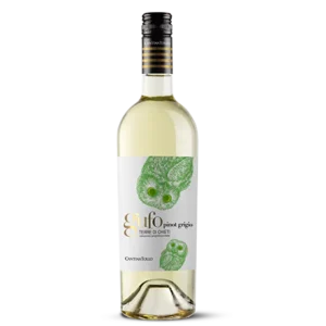 Cantina Tollo Gufo Pinot Grigio