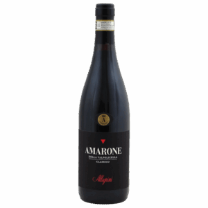 ALLEGRINI AMARONE DELLA VALPOLICELLA CLASSICO DOCG 2019