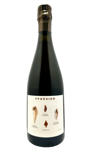 Champagne Legrand-Latour Ypresien