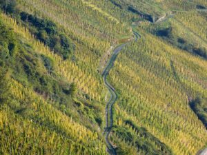 Weingut Vollenweider - Wolfer Goldgrube Riesling Kabinett 2023 BIO