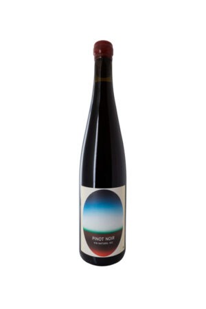 Famille Hebinger - Pinot Noir Nature 2023 BIO